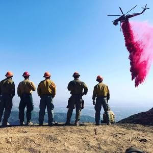 Meet your Posher, Cody